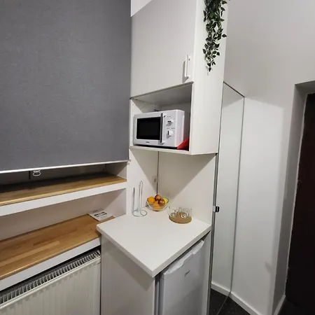 Apartment Cozy Street Lipscani Bucharest
